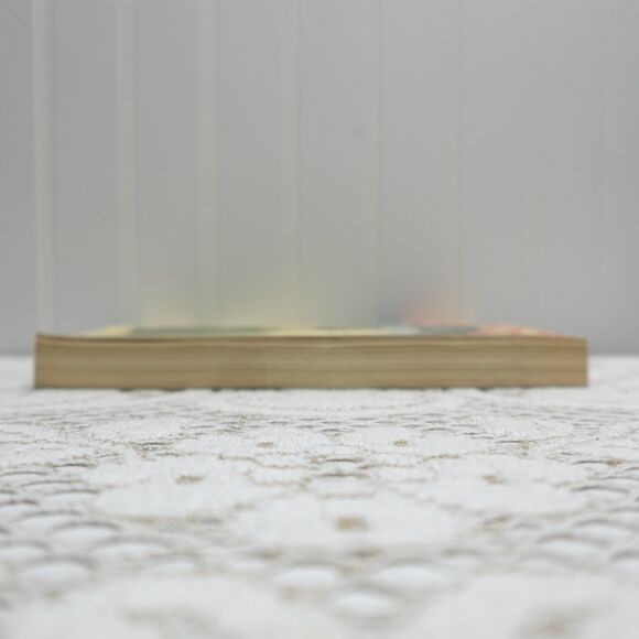 The Sugar Queen Sarah Addison Allen 2009 Trade Paperback Bantam Books - Picture 6 of 8